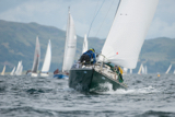 oystercatcher 3245c whyw16 sun 800 0468w